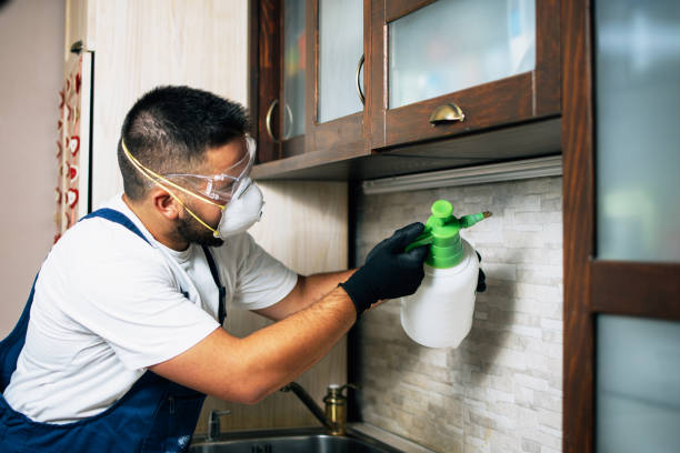 Best Bed Bug Extermination  in Riverton, UT