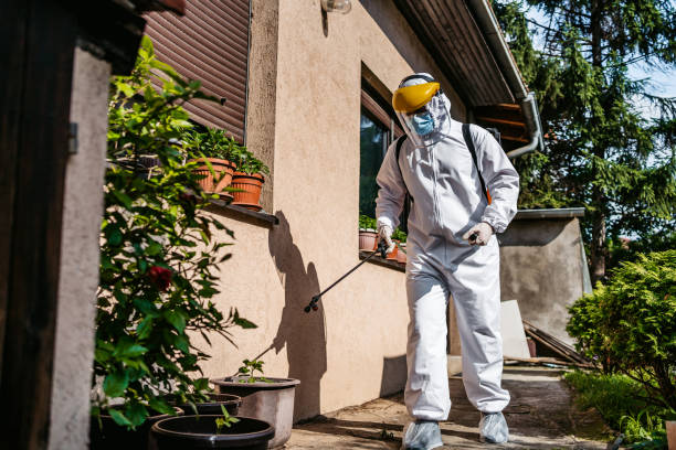 Best Pest Control Near Me  in Riverton, UT