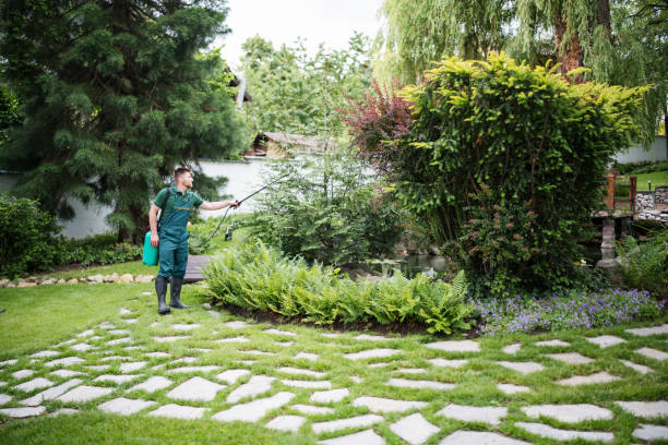 Best Residential Pest Control  in Riverton, UT