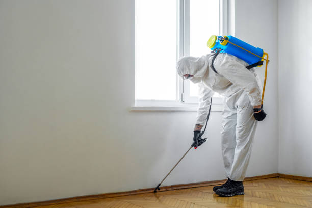 Professional Pest Control in Riverton, UT