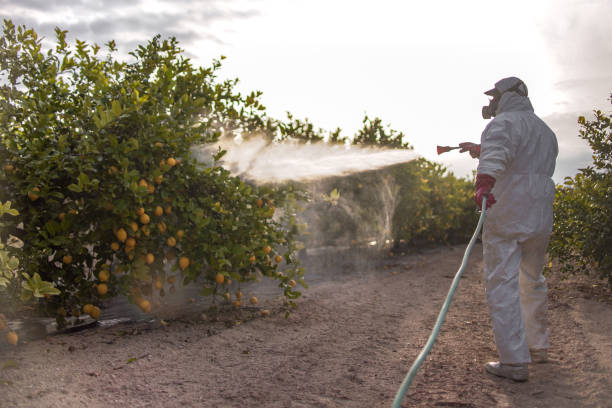 Best Pest Prevention Services  in Riverton, UT