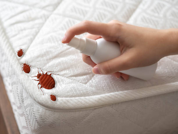 Best Wasp Removal Services  in Riverton, UT