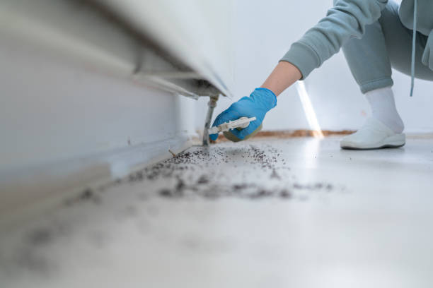 Best Best Pest Control Companies  in Riverton, UT